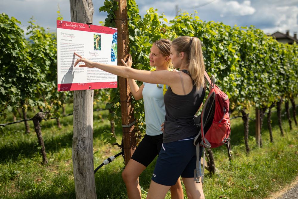 Zwei Wanderinnen auf dem Girlaner Weinlehrpfad bei Eppan entdecken die Rebsorte Sauvignon – Ausflugsziel nahe den Ferienwohnungen Urbanhof in Südtirol.