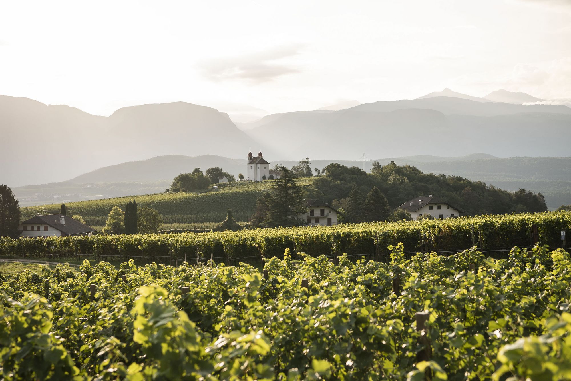 Blick auf die Gleifkirche in Girlan bei Eppan, umgeben von Weinbergen und Bergen Südtirols – stimmungsvolle Landschaft nahe den Ferienwohnungen Urbanhof.